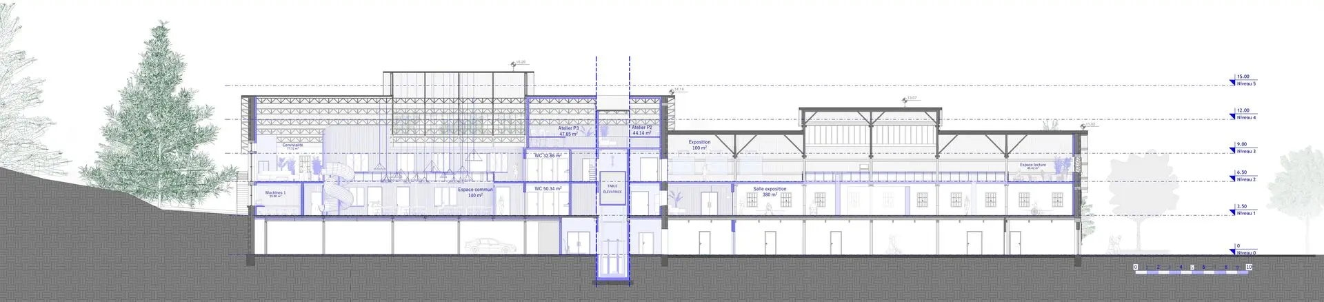 Projet de Foin d'Etudes Coupe Longitudinale