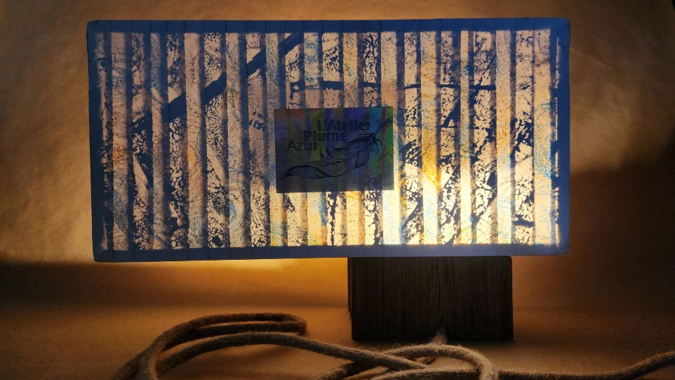 Lampe réversible face 2