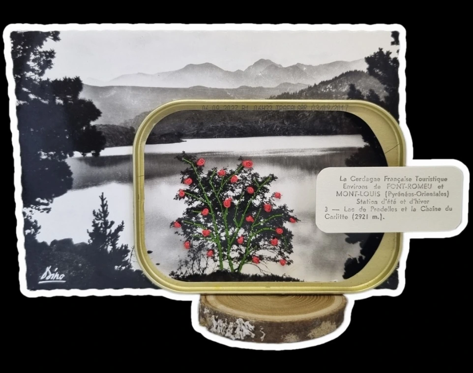 Carte Carte Arbre sur le Lac de Pradelles