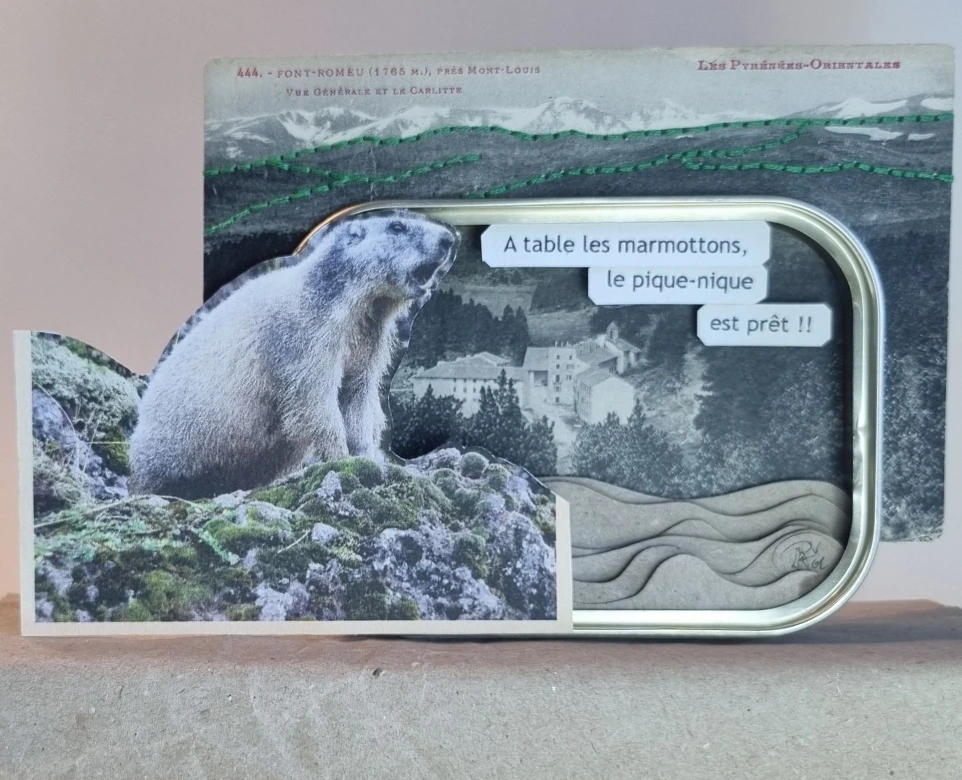 Carte Marmotte (Ermitage Font-Romeu)