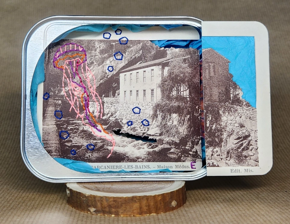 Carte maiosn medus-e